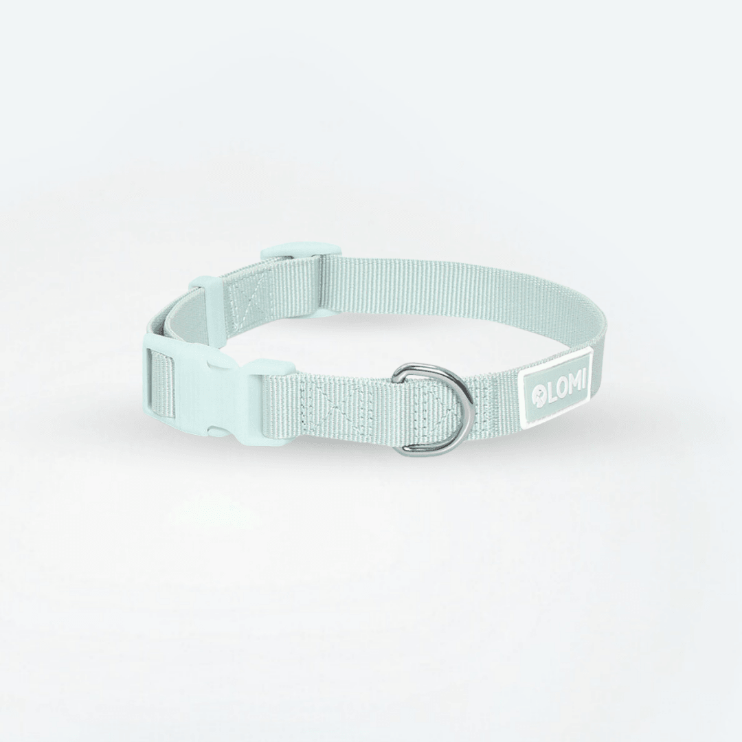 Lomi necklace in recycled PET